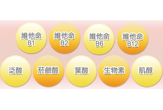 維生素檢測儀品牌廠家介紹維生素B族群的作用